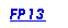 Text Box: FP13
