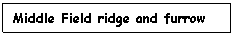 Text Box: Middle Field ridge and furrow