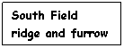Text Box: South Field ridge and furrow