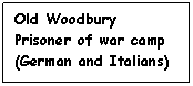 Text Box: Old Woodbury
Prisoner of war camp (German and Italians)
